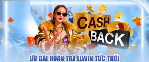 hoàn trả tức thời DN88